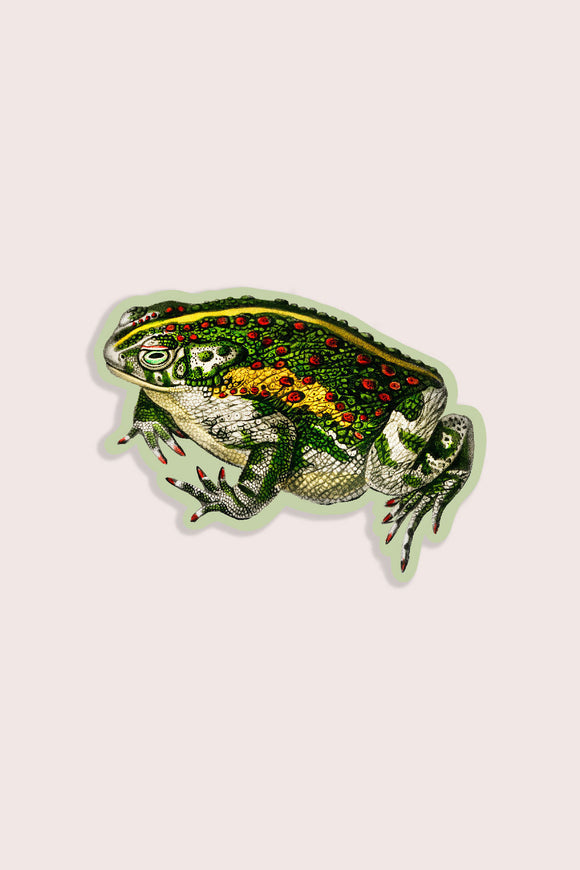 Tricky Toad Vinyl Sticker