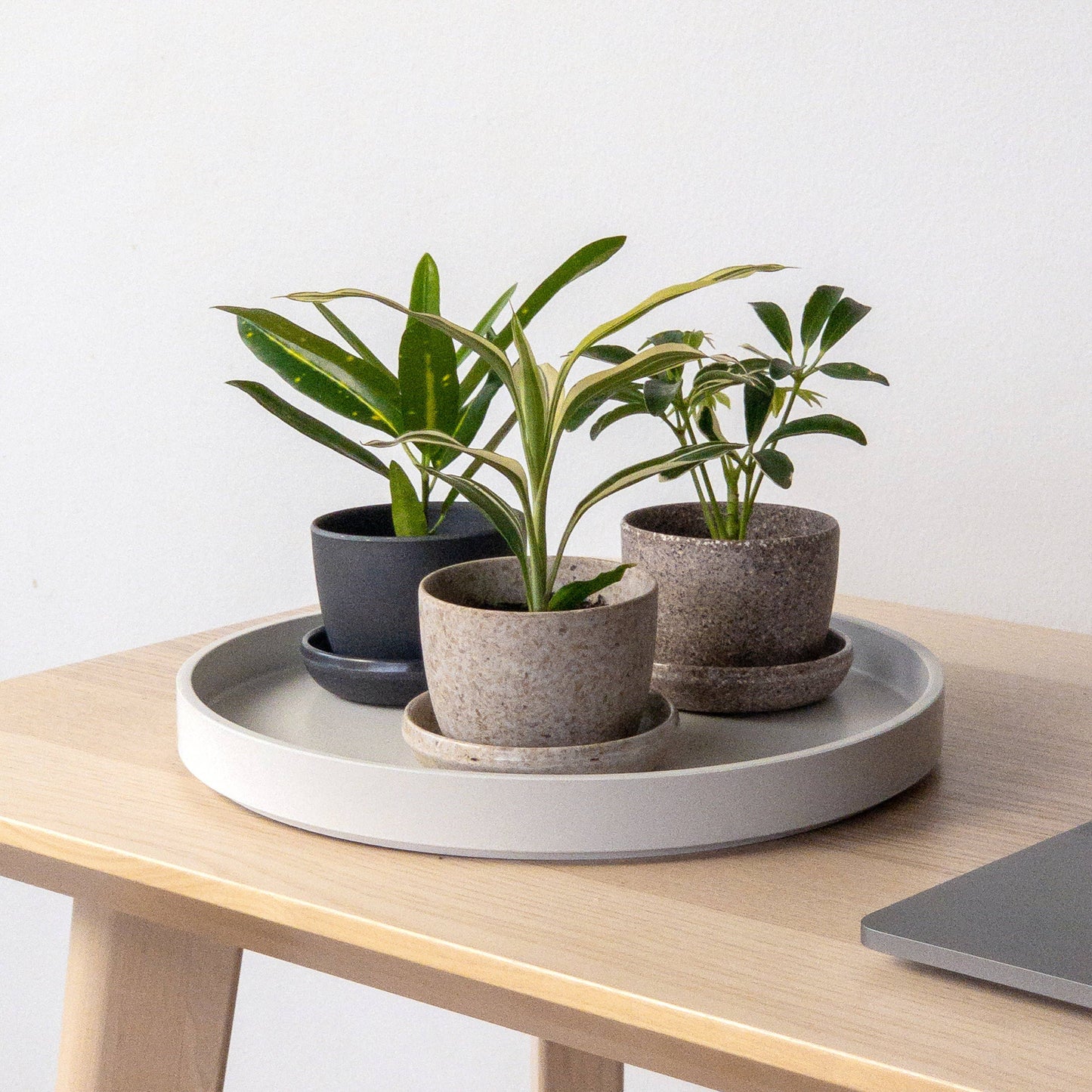 3" Mini Planters : Nut husk
