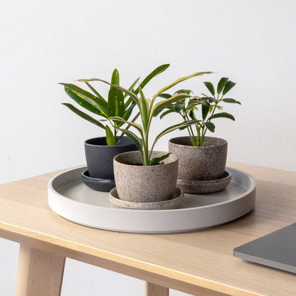 3" Mini Planters : Nut husk