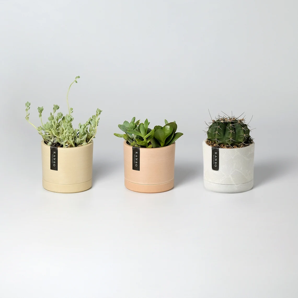 3.5"  Mini Planter : Tatami