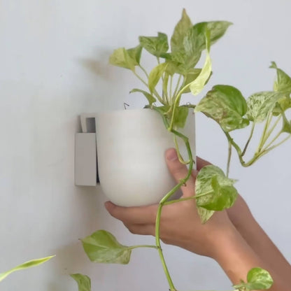 Wall Mounted Recycled Planter Pots | 5.5"