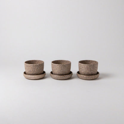3" Mini Planters : Nut husk