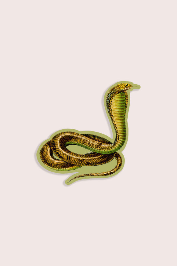Conceited Cobra Vinyl Sticker