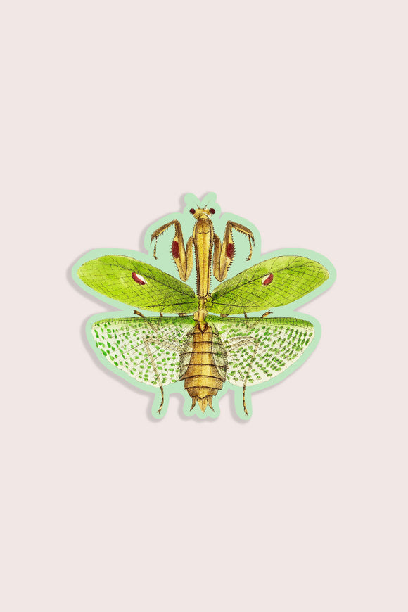 Meditative Mantis Vinyl Sticker