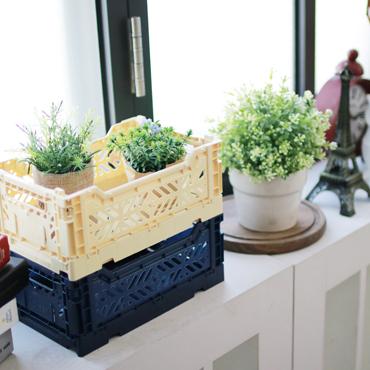 Banana - Aykasa Collapsible Crates
