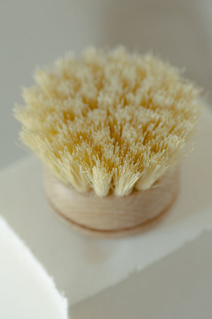 Dish Washing Brush - Long Handle