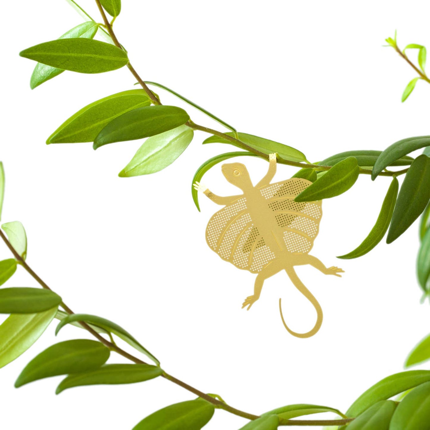 Flying Lizard - Plant Animal